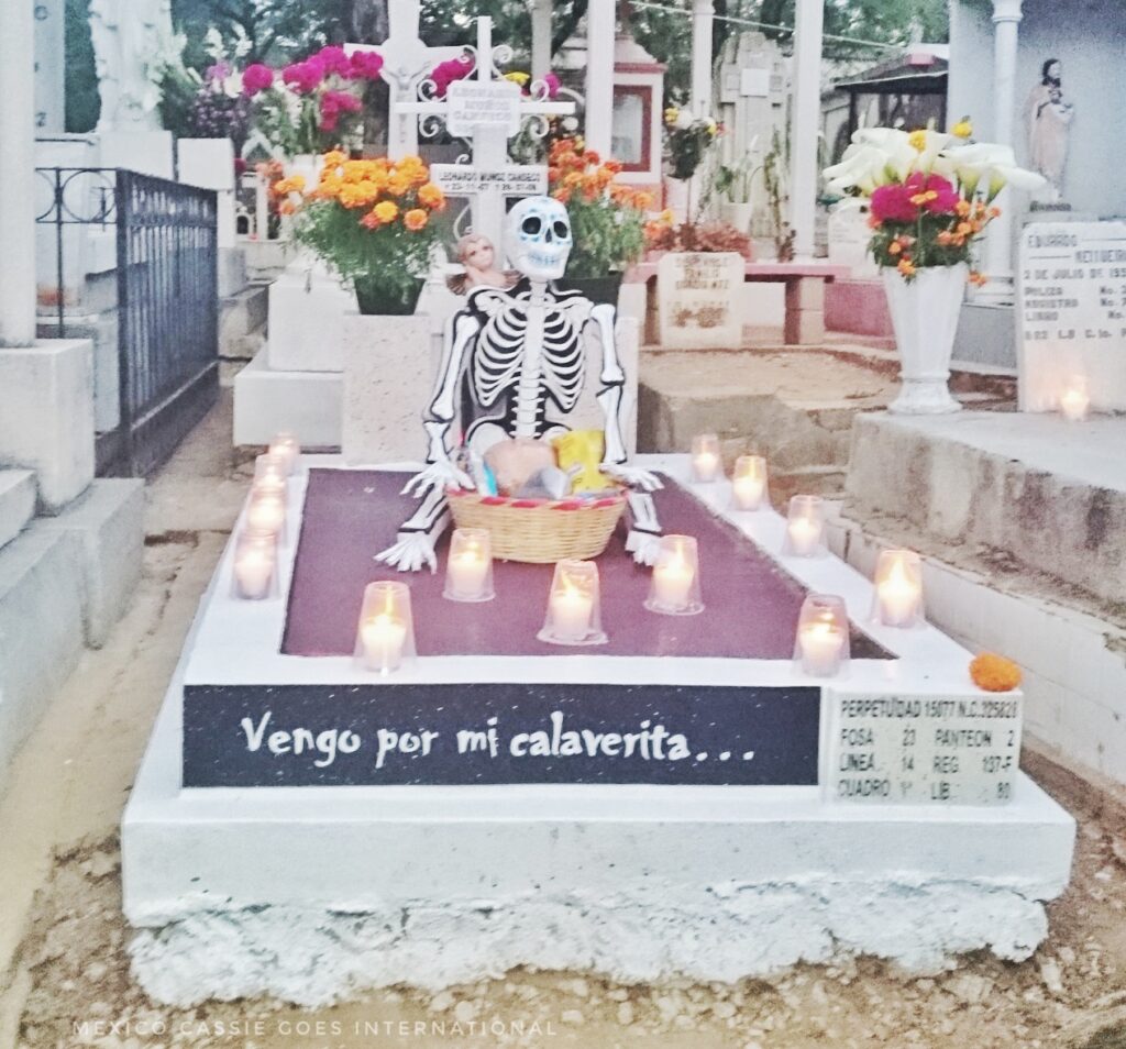 Grave with a skeleton sitting up on it. Candles around and a sign that says, venega por mi calaverita