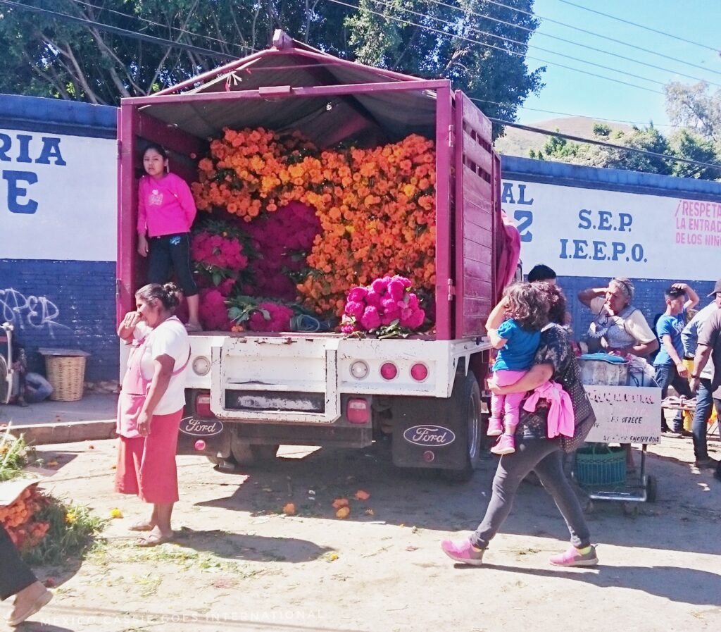 truck filled with day of the dead cempasuchil flowers