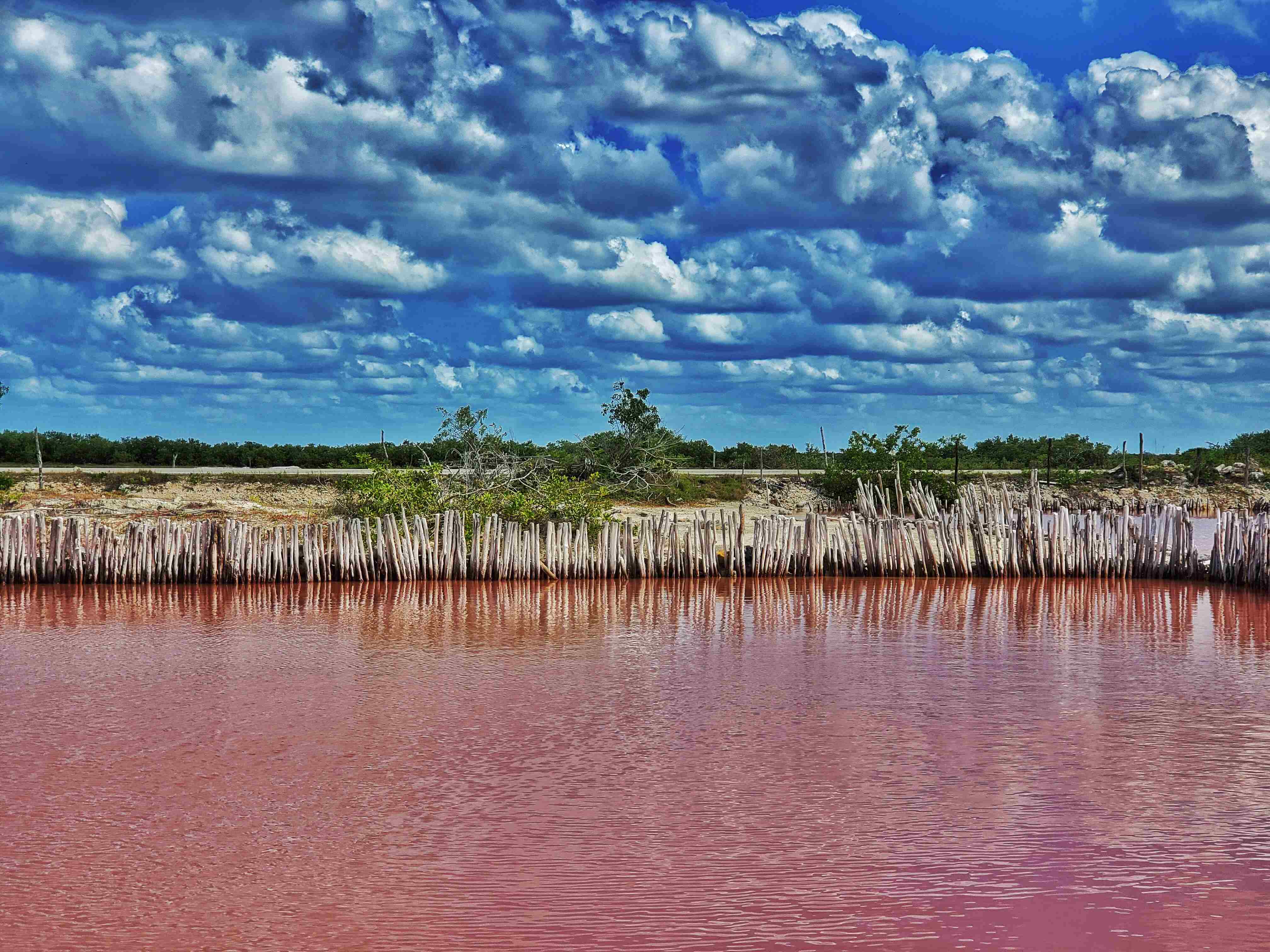 pink water, blue clouds