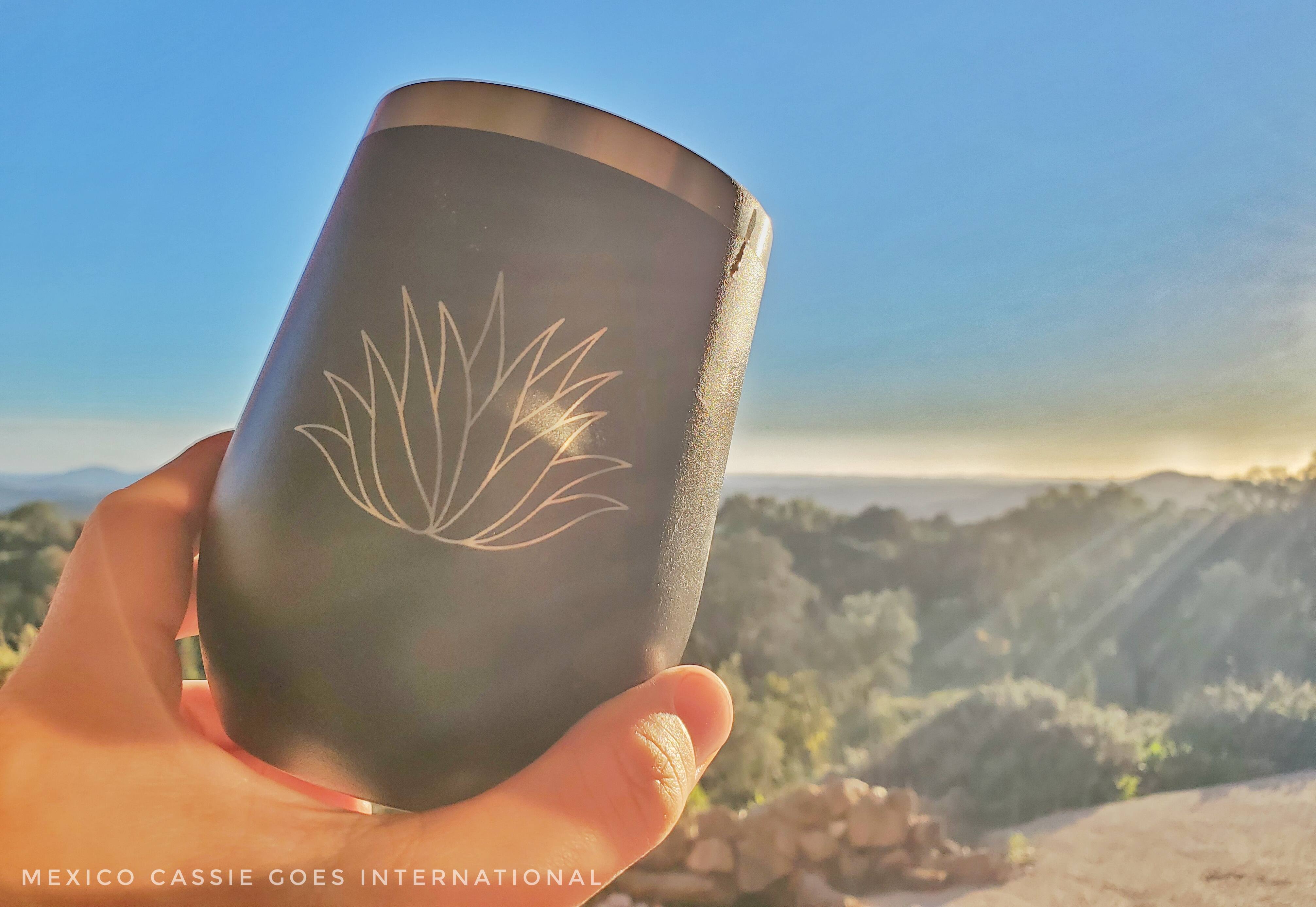 reusable mug held up against beautiful vista - sunset light shining gently. mug is navy blue with silver rim and a silver engraved agave plant