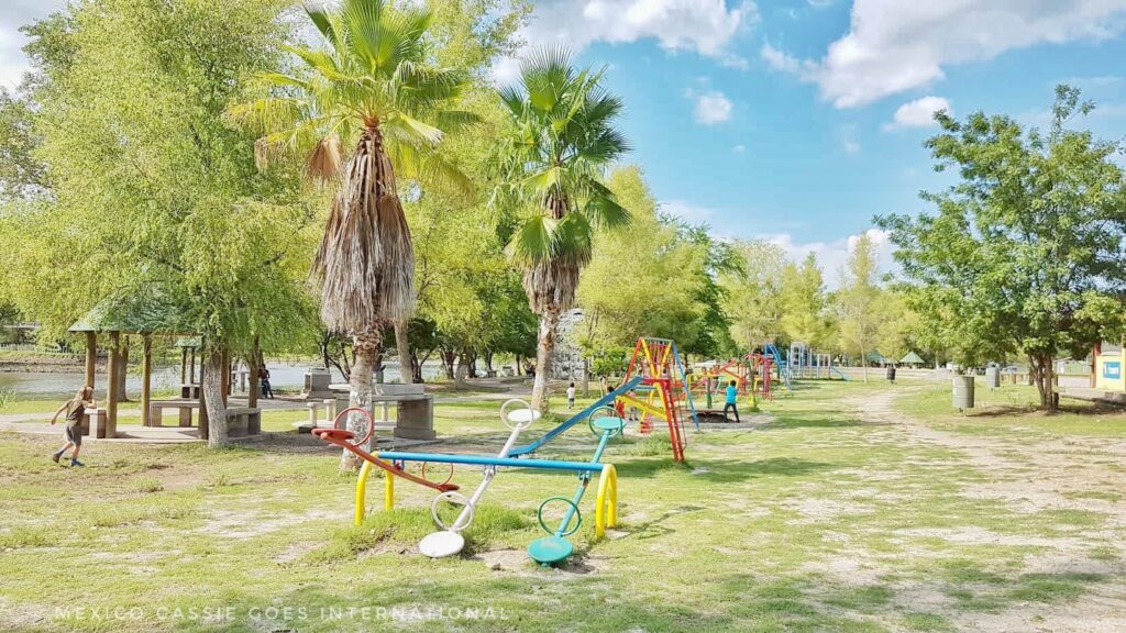 playground - seesaws and palm trees on grass