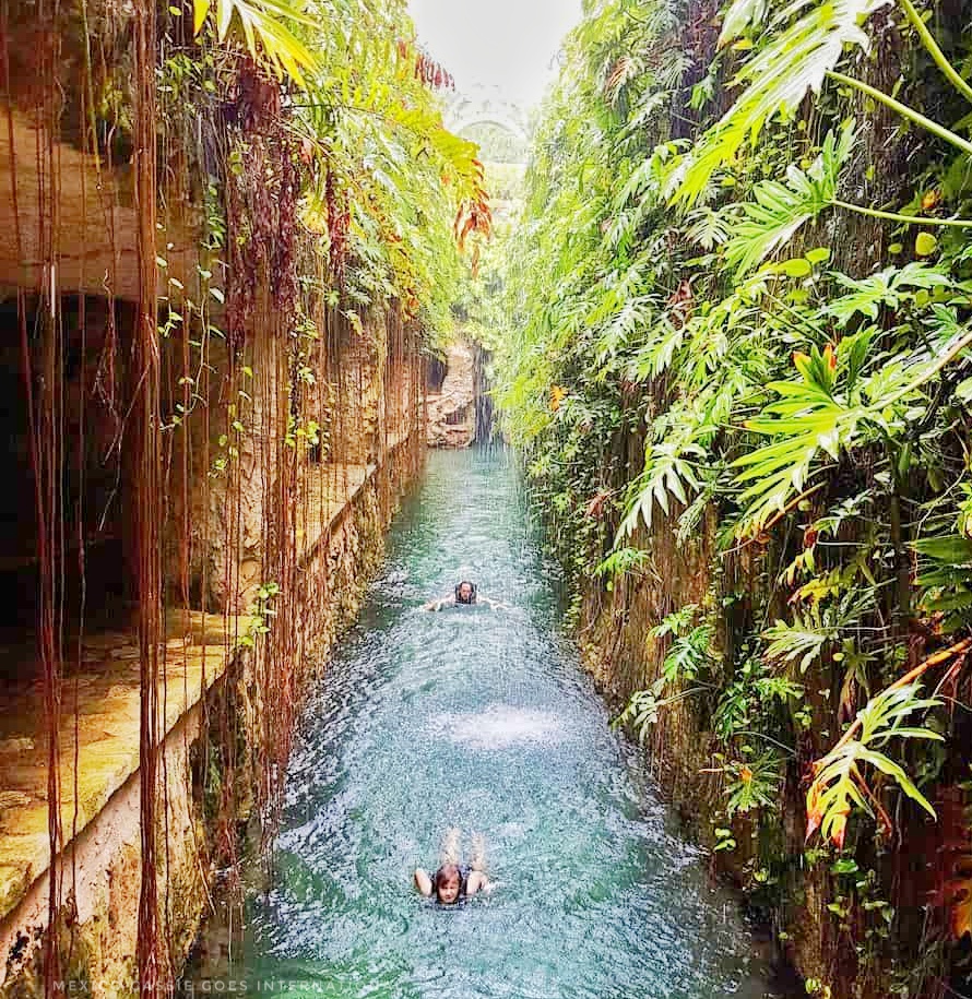people swimming down a channel of water surrounded by greenery