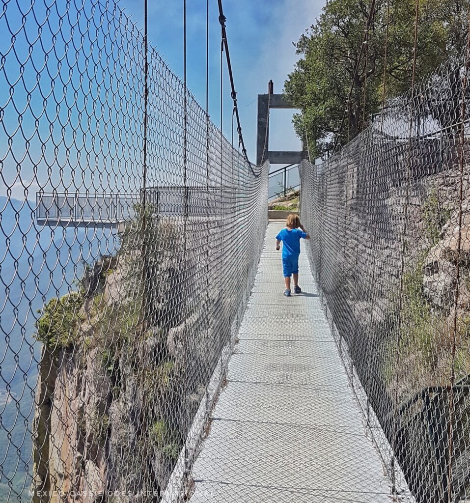 metal bridge, chicken wire sides, small boy in blue crossing