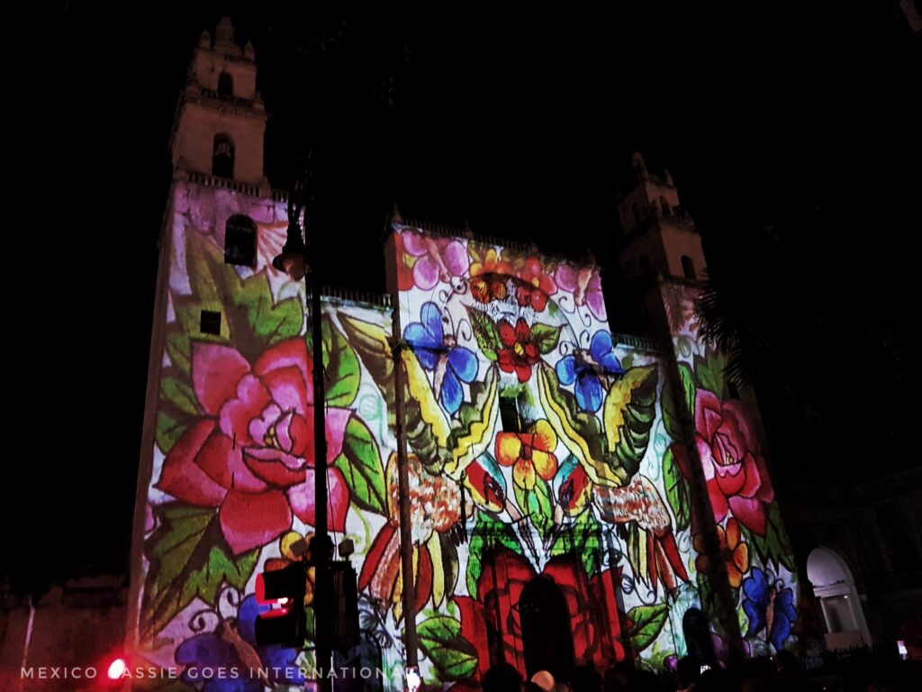 cathedral covered in video mapping flowers