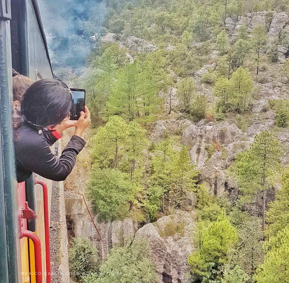 woman leaning out of train window to take a photo