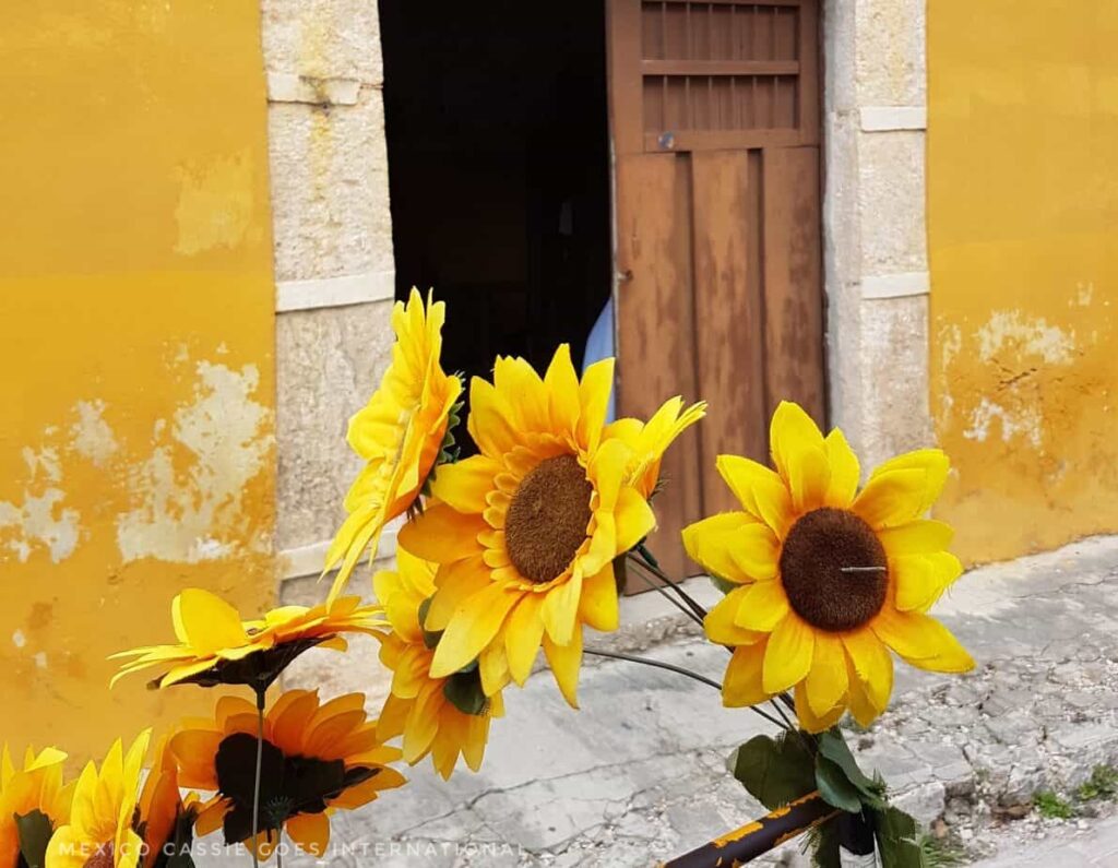 fake sunflowers in front of open door. yellow walls