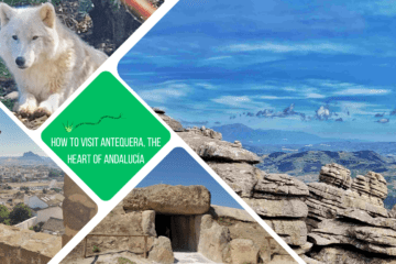 green text box: how to visit Antequera, the heart of Andalucía. 4 photos: 1 of the torcal countryside, 1 of an entrrance to a dolmen, 1 through the turrets of a castle and 1 of a wolf