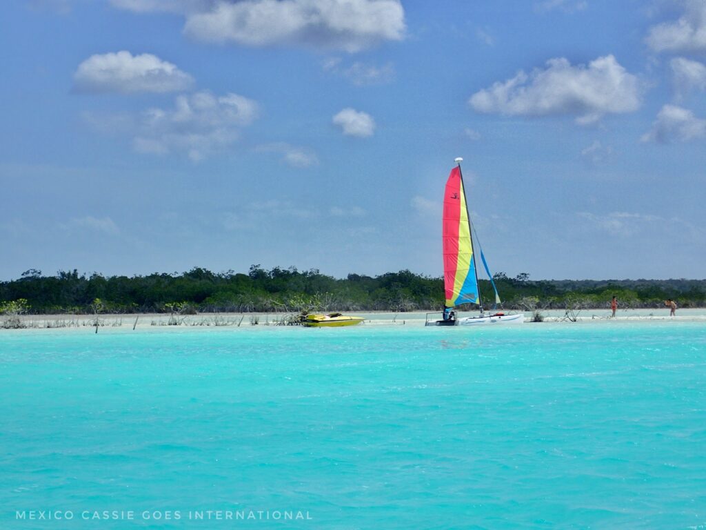 blue water, green trees, white sand, blue sky. one boat, red, yellow and blue sail