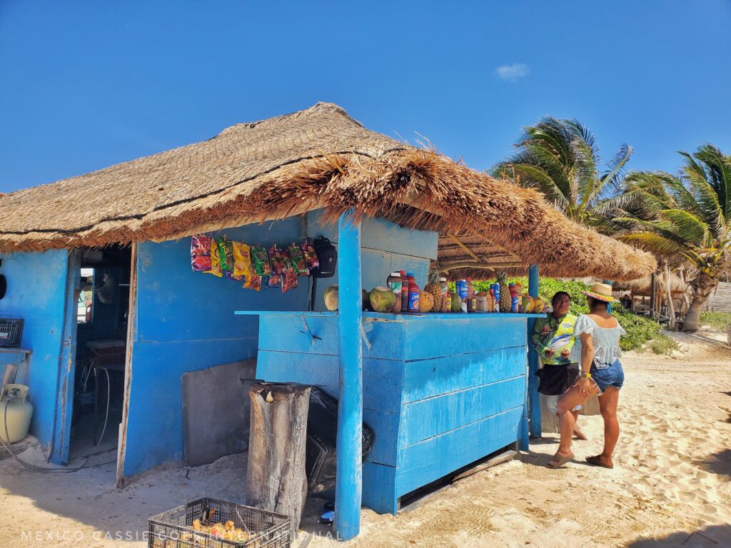 blue beach shack bar with palapa roof. 
