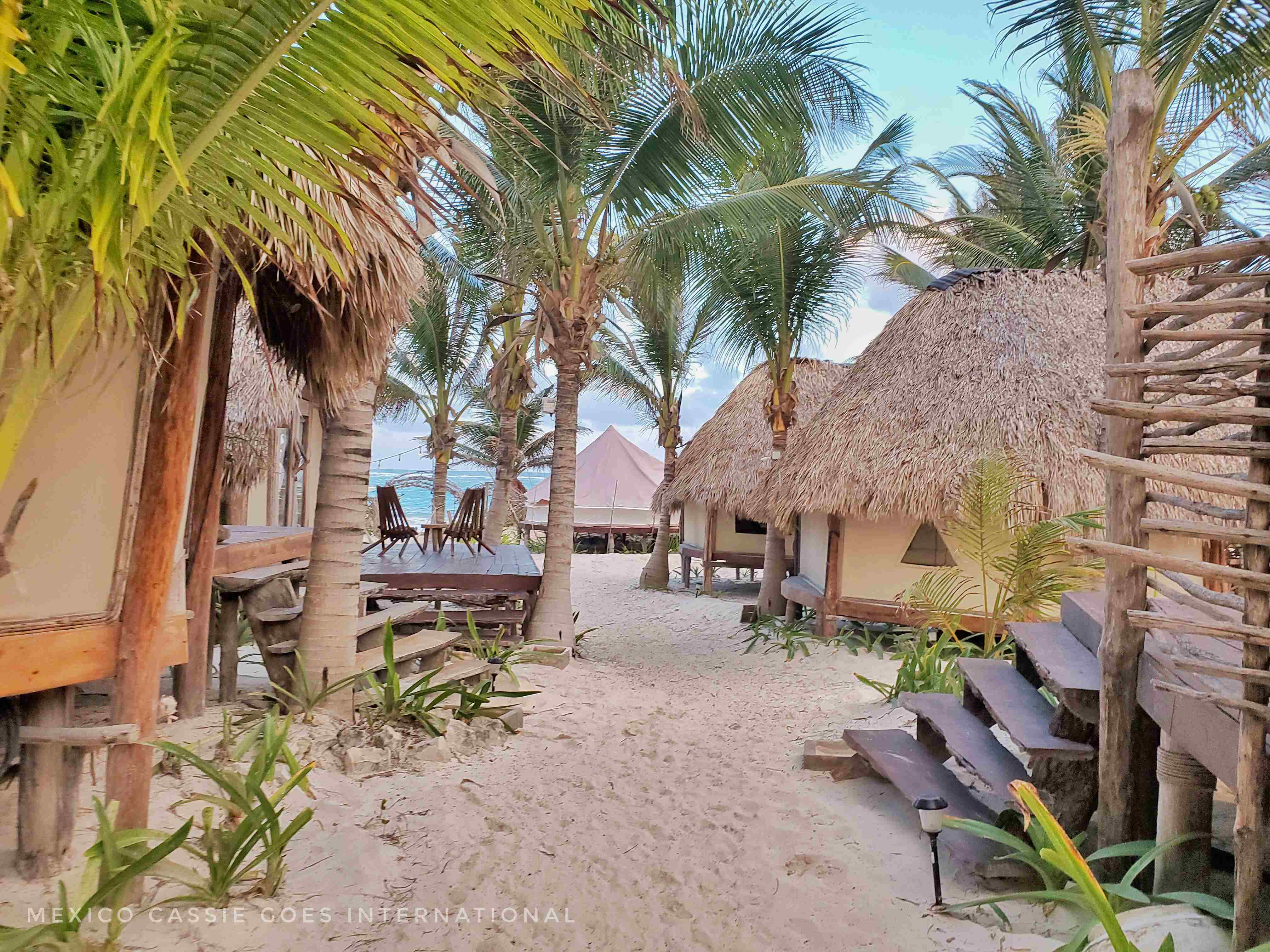 sand path lined with palm trees and thatched huts