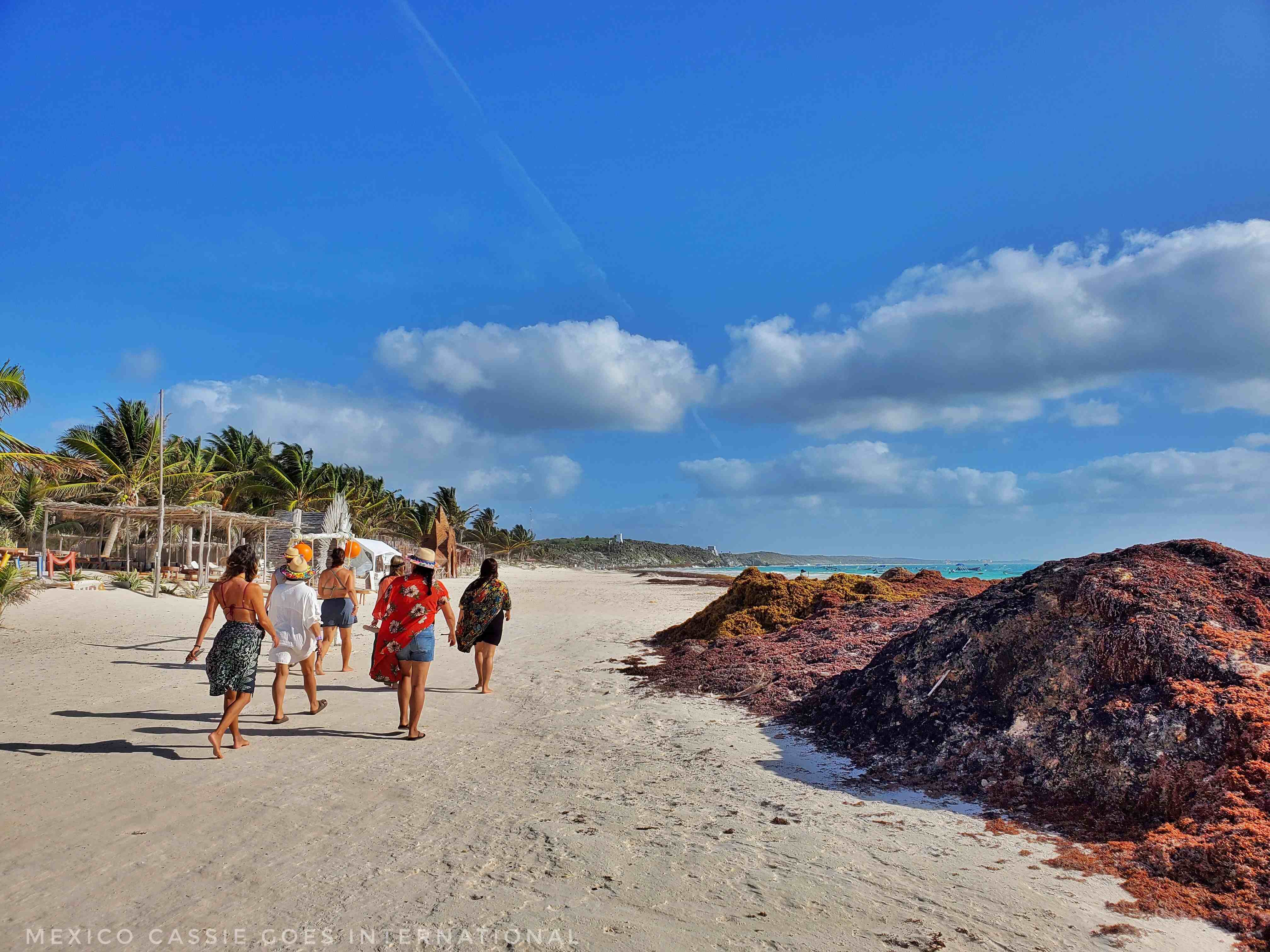group of women walking on beach next to piles of seaweed