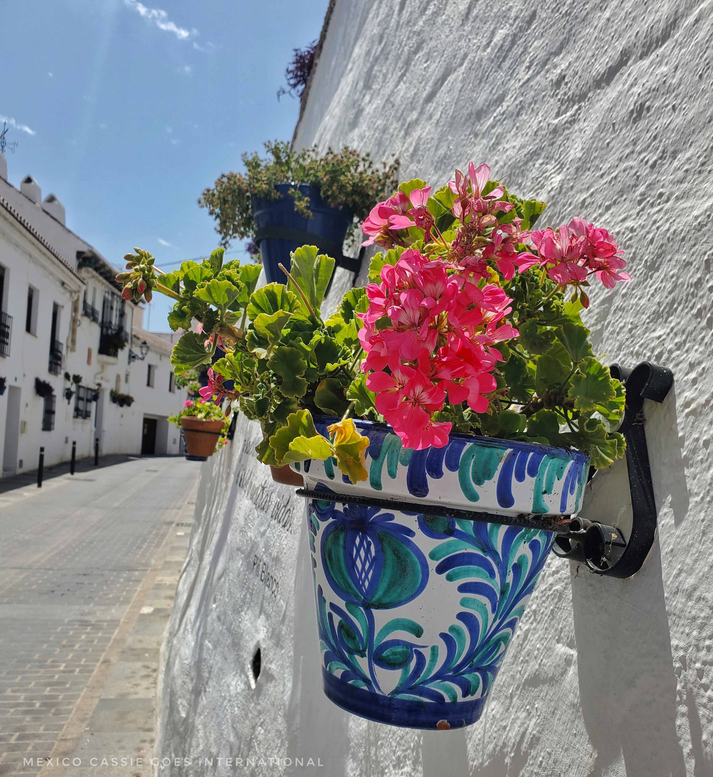 close up of blue and white patterned flower pot held to white wall with iron. pink flowers, houses in background