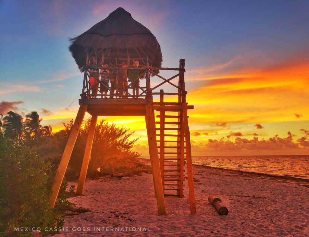 thatched lifeguard tower with sunset behind it