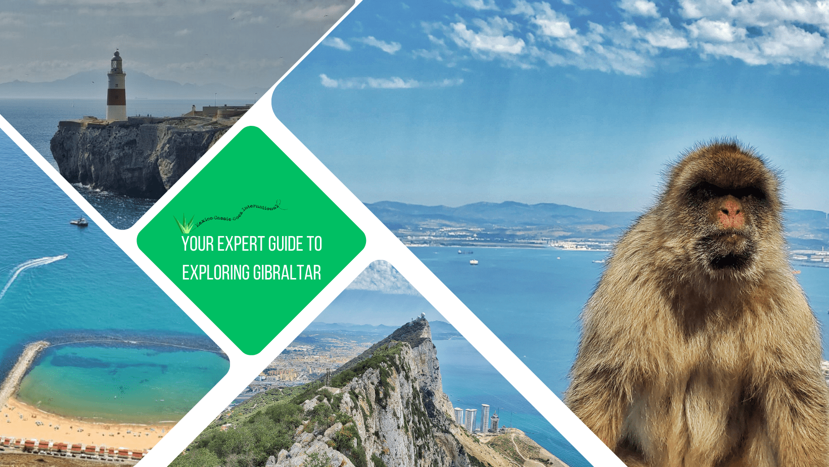 green text box: your expert guide to exploring gibraltar. 4 photos 1 of a monkey staring right at camera, 1 of rock of gibraltar, 1 looking down on beach and blue sea, 1 of a lighthouse on a cloudy day