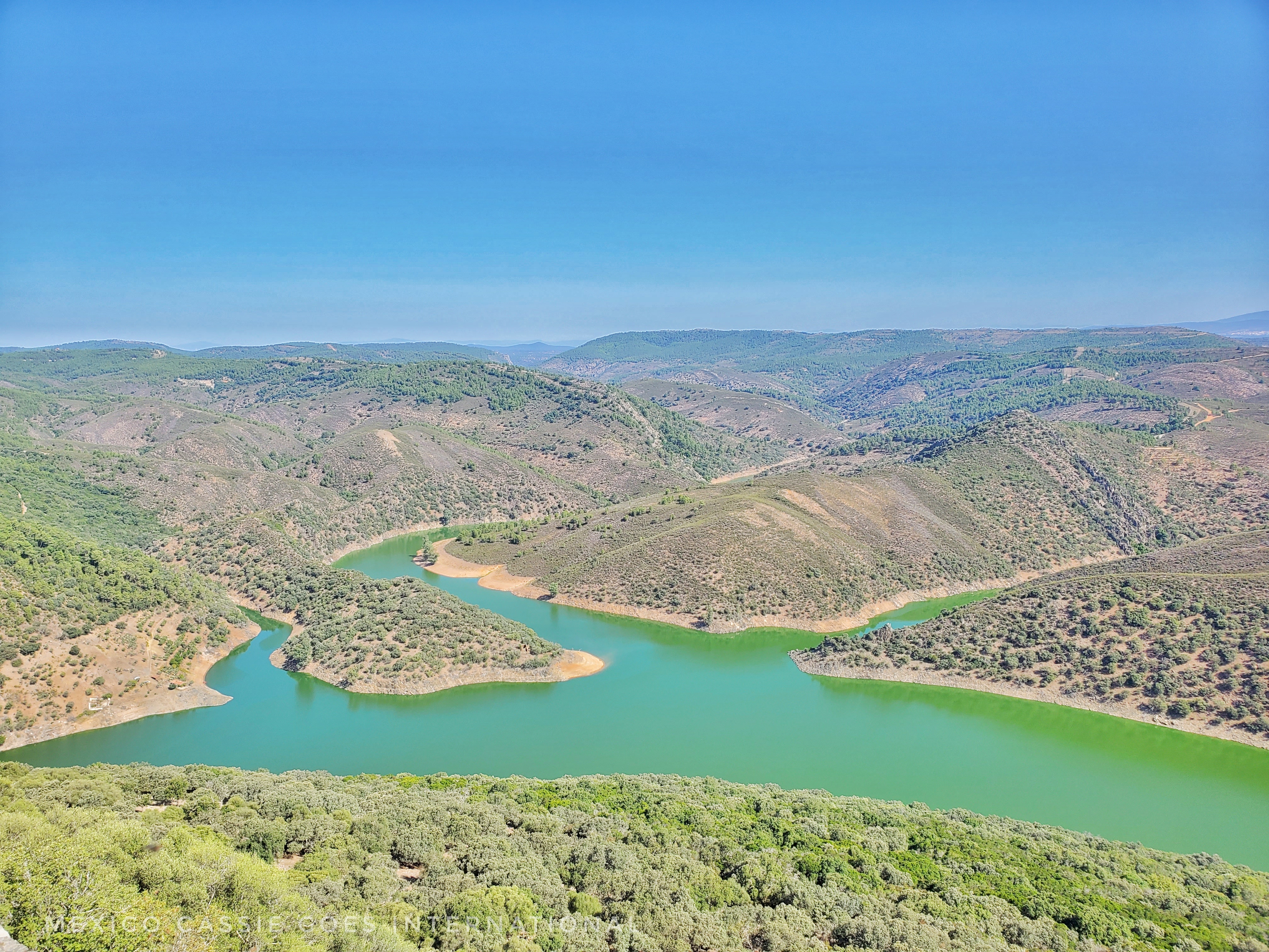 looking down to an extremely green river