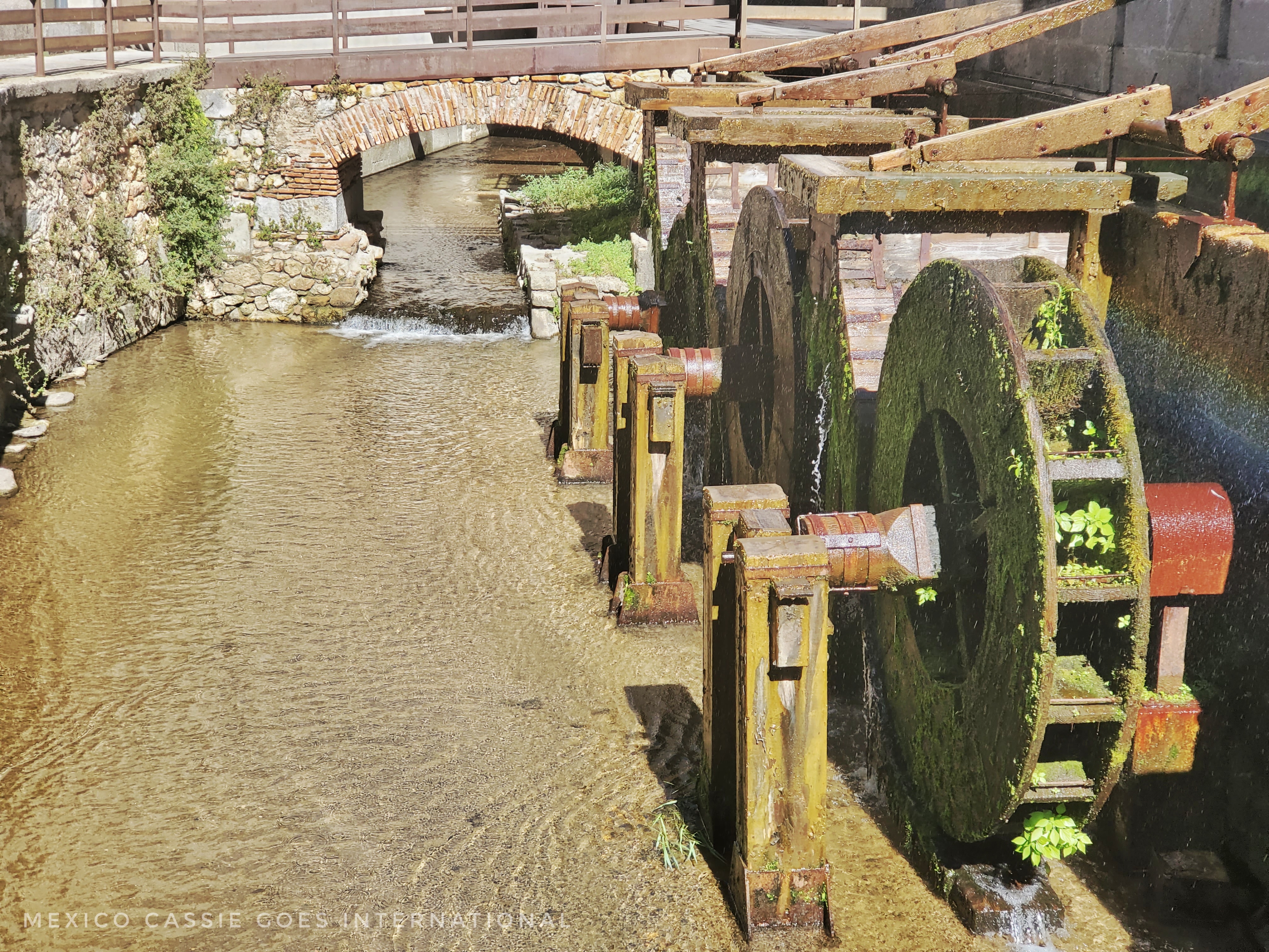 photo of water wheels in brown water. wheels covered in moss
