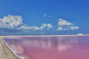 pink water next to sandy shore, blue sky