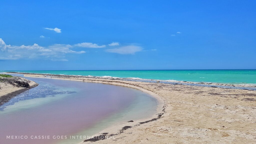 pink water in a channel, white sand and perfect carribean blue sea behind