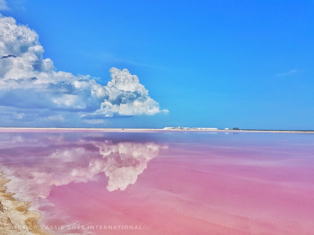 pink water, blue sky, cloud reflected into water