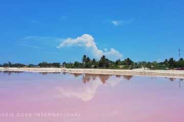 pink water, white sand, line of trees (also refected in water) blue sky