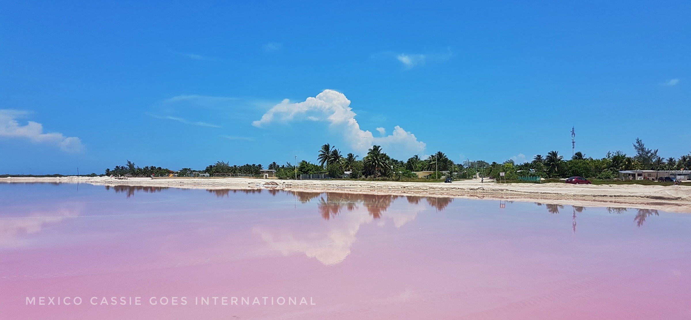 pink water, white sand, line of trees (also refected in water) blue sky