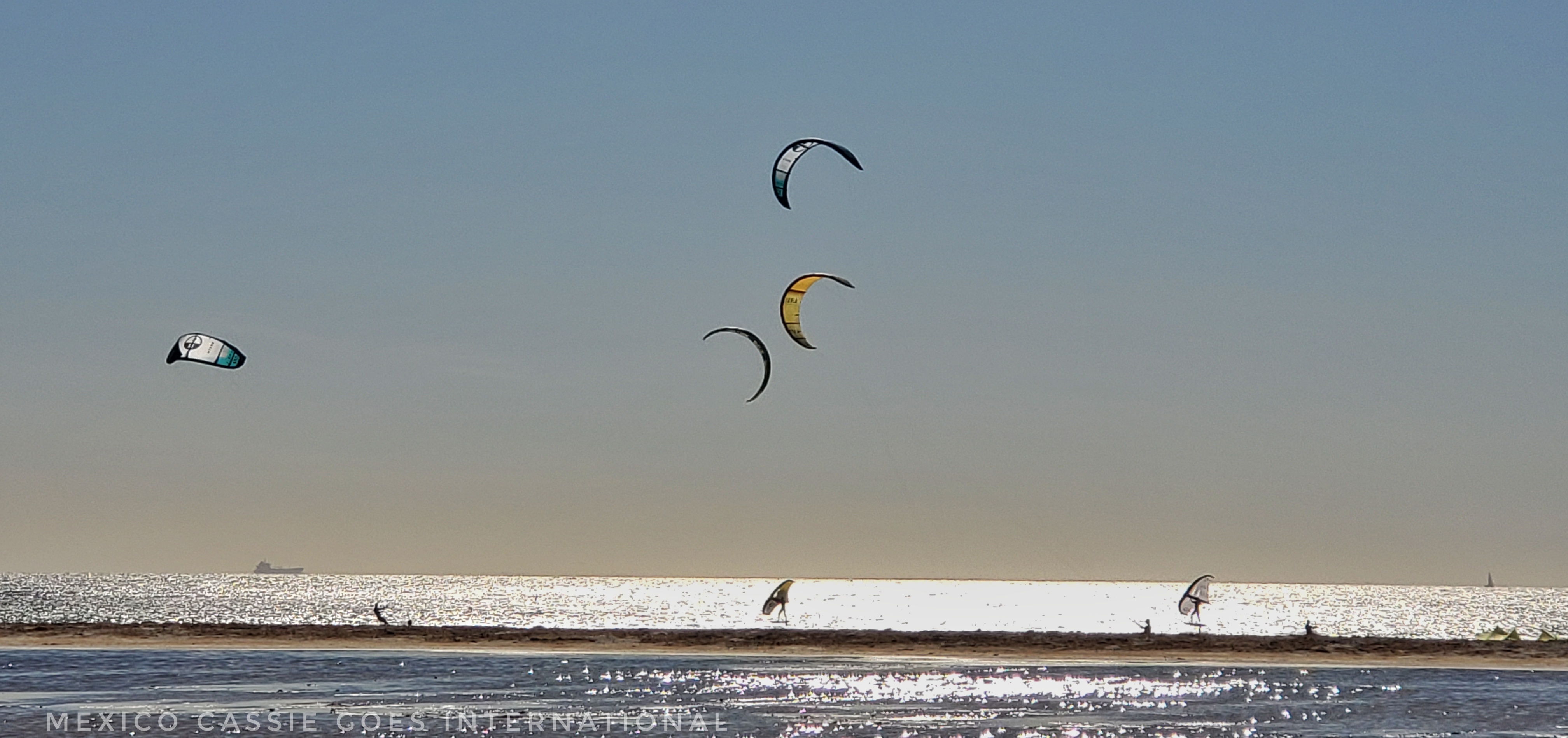 four kitesurfers on ocean at sunset