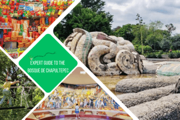 greeen text box: expert guide to bosque de chapultepec. 4 photos - 1 of tlaloc sculpture (hand and head), 1 of street food stall, 1 of a large mural and 1 of a kid on a tree top walkway