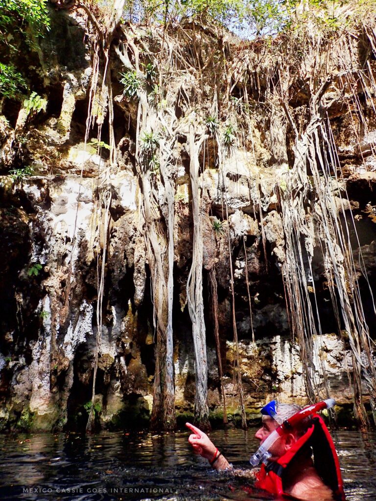 man in red life jacket pointing up at roots hanging down into cenote