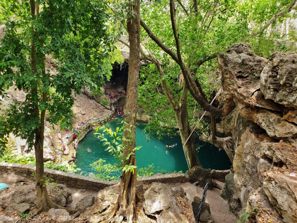 green water cenote surrounded by trees