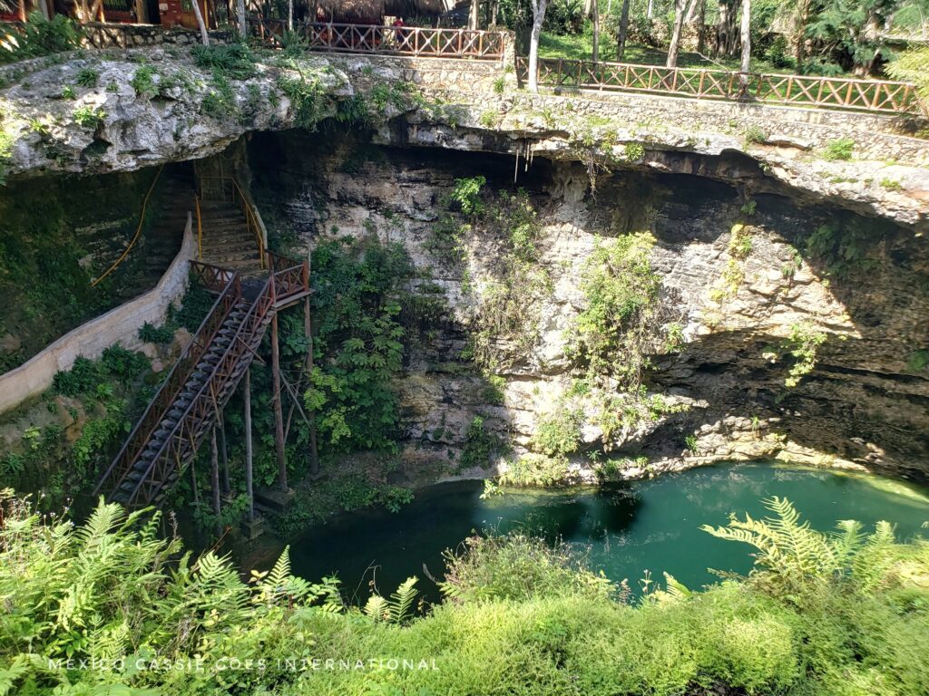 looking down into a cenote over green bushes. green water at bottom of sink hole