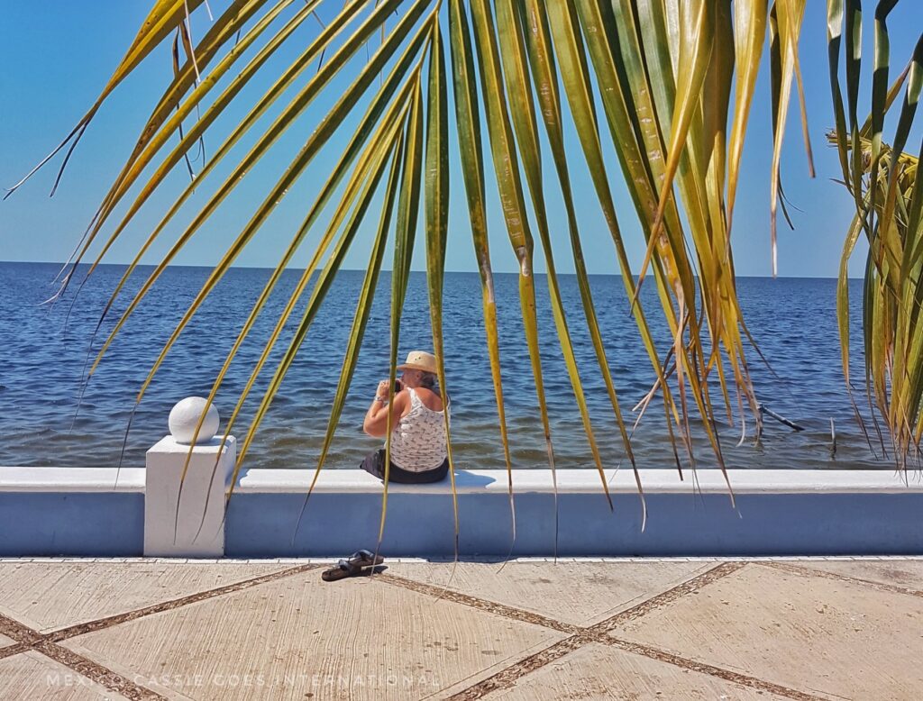woman sitting on a low wall with ocean directly in front of her - palm fronds over front of photo