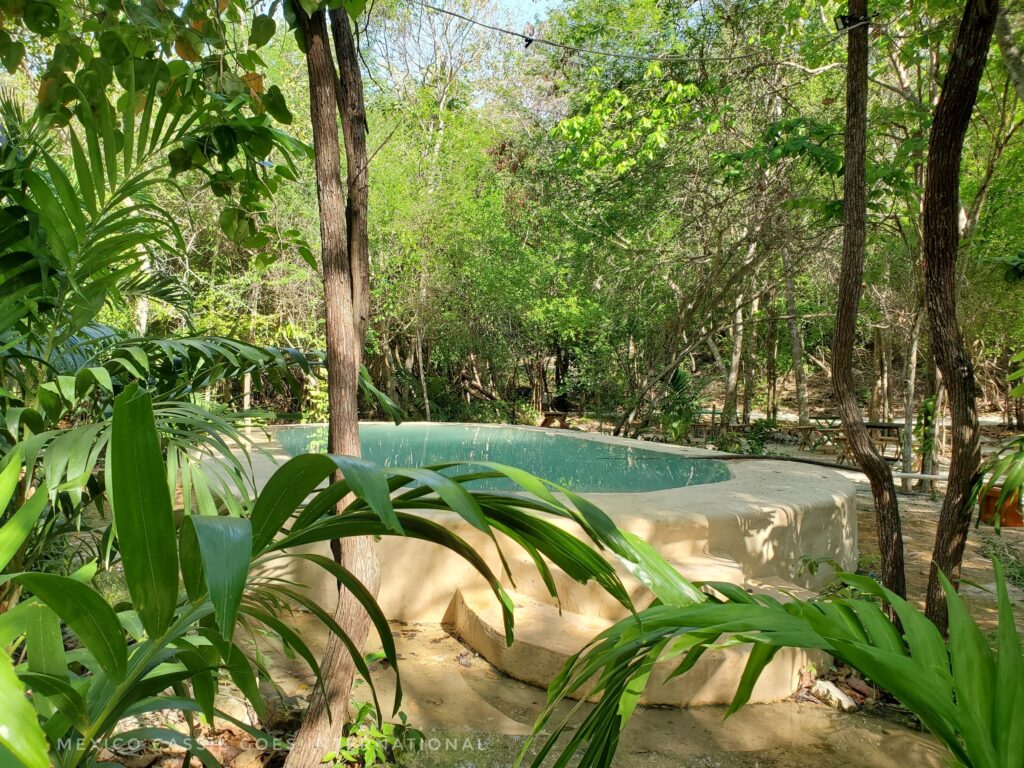 small raised swimming pool with blue water surrounded by  jungle