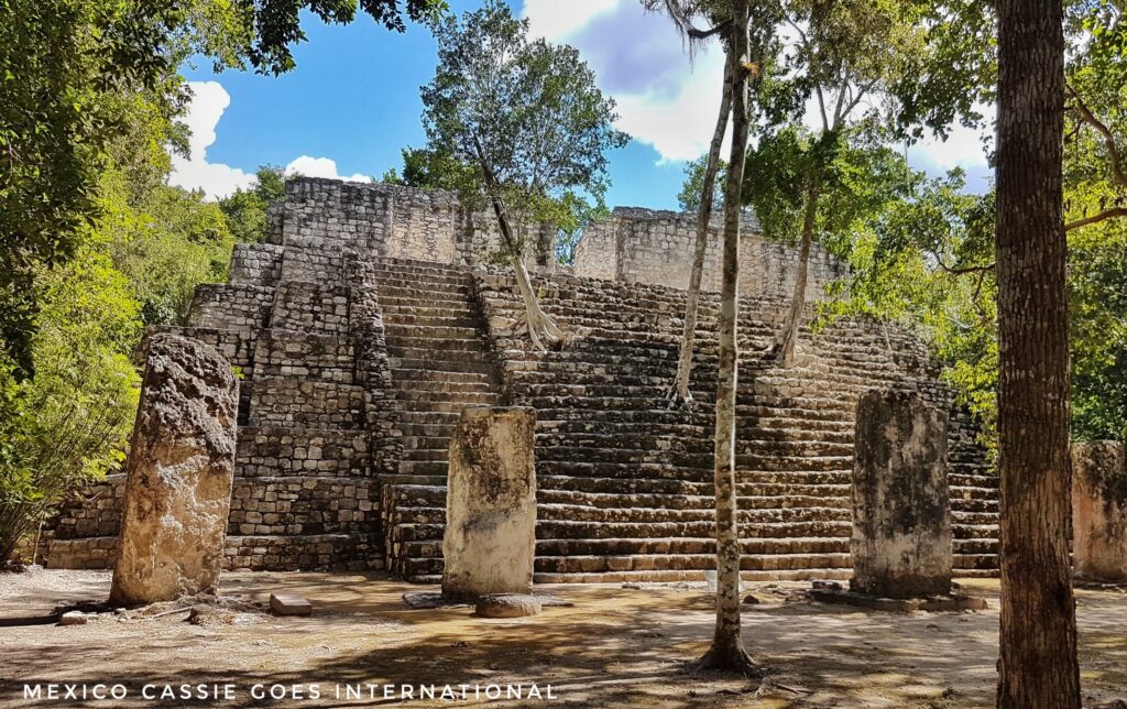 maya ruin - only steps and walls at top left. trees growing all around including out of the steps