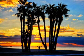 palm trees silhouetted against sunset sky. person between trees