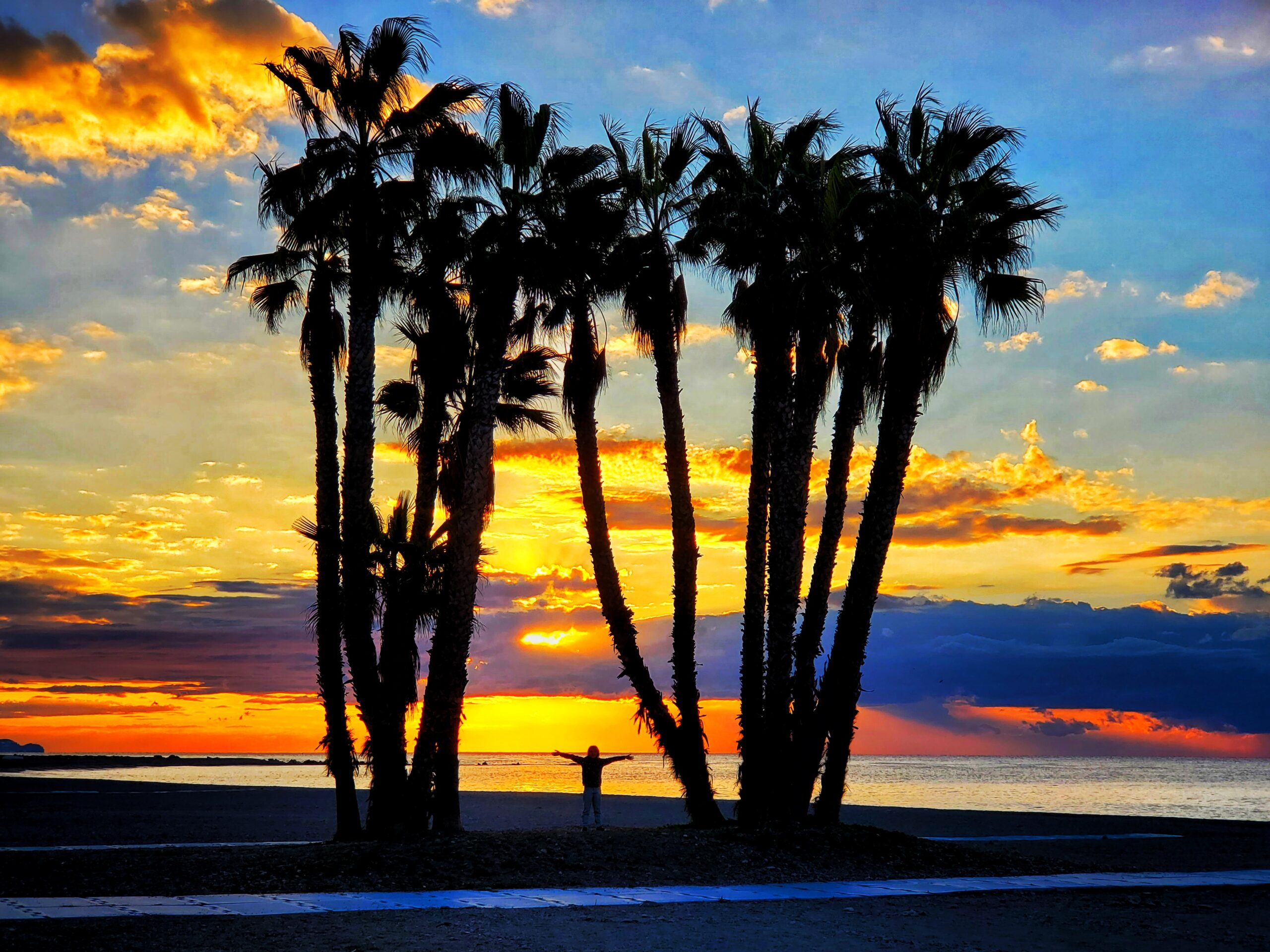 palm trees silhouetted against sunset sky. person between trees