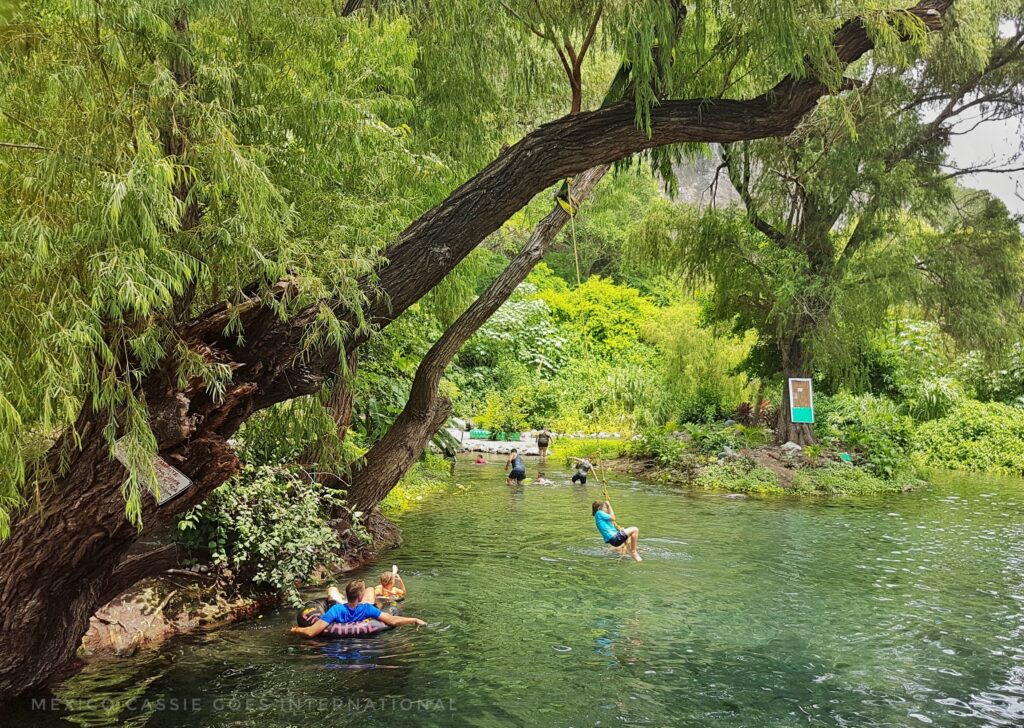 river with trees and people enjoying the water. boy in blue top swinging into water