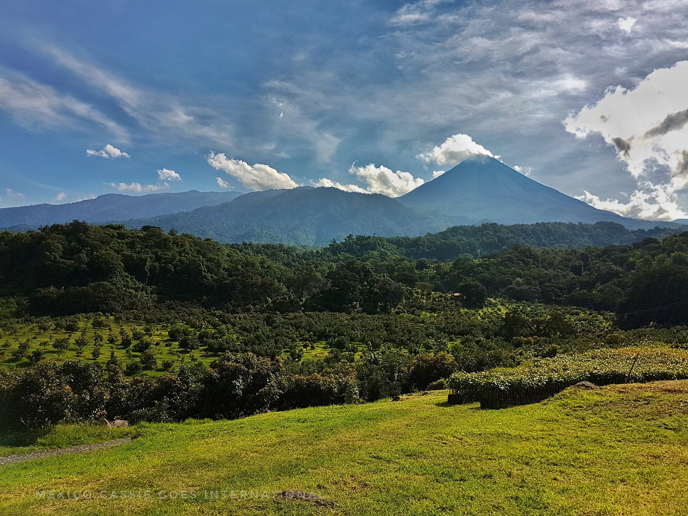 view of volcano over forest and grass