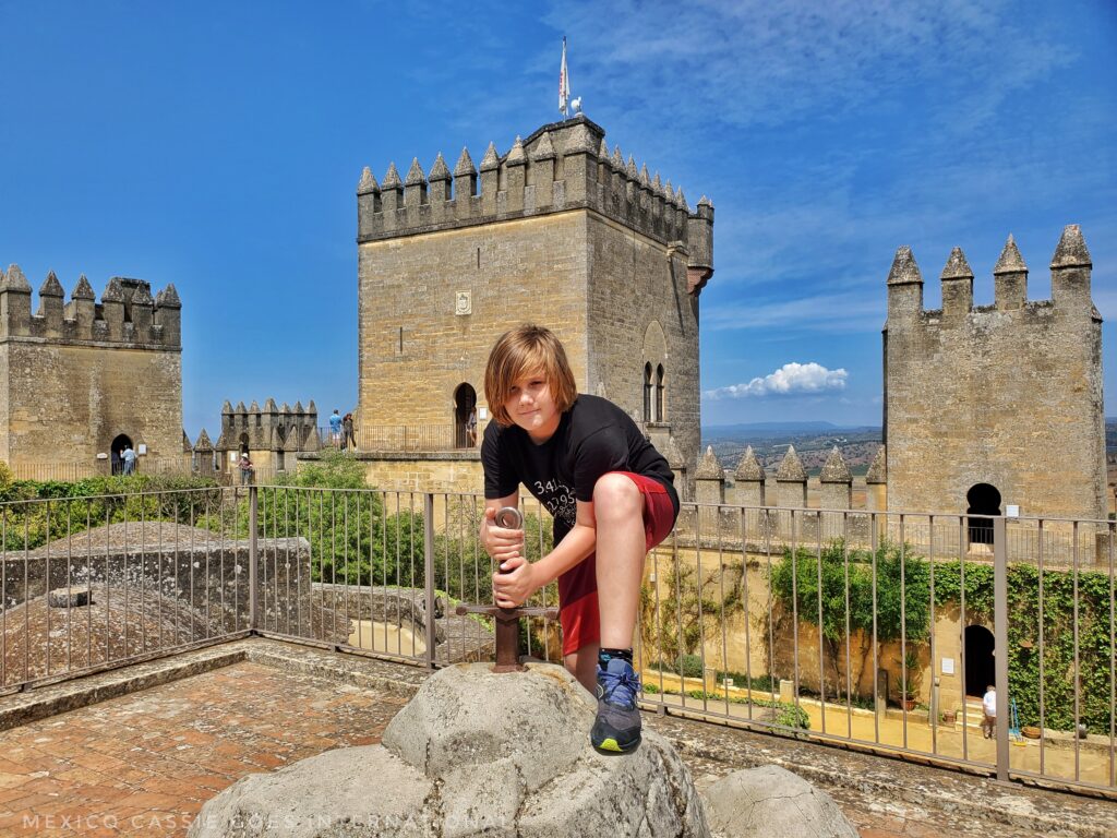 child pretending to pull sword from stone with castle behind
