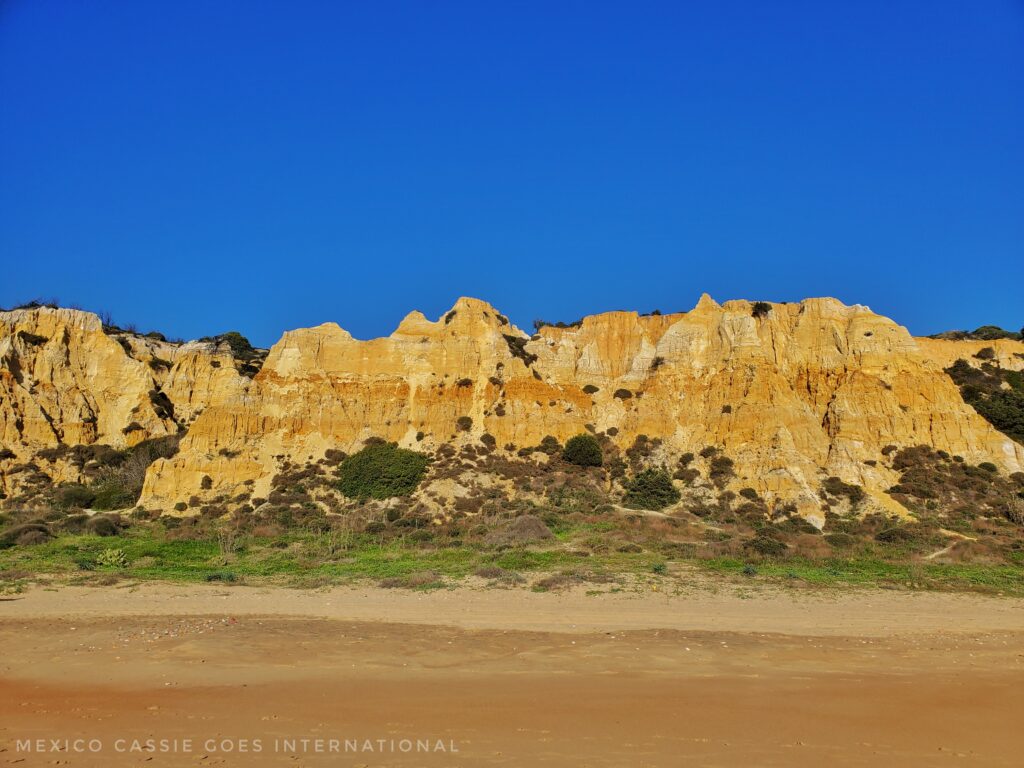 golden yellow cliffs, green vegetation and sand