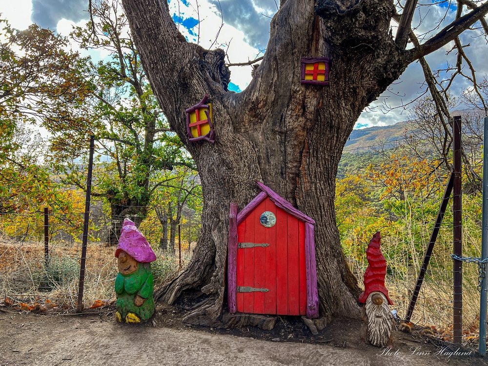 tree with red door in it and two small windows in branches. a wooden person in a pink hat and a gnome outside it