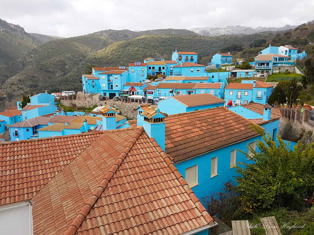 blue houses with red roofs, grey sky