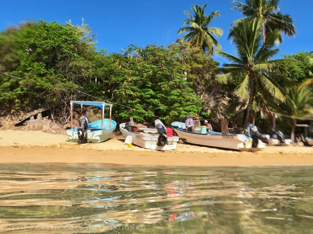 basic boats on sandy beach, palm trees behind. photo taken from in the water