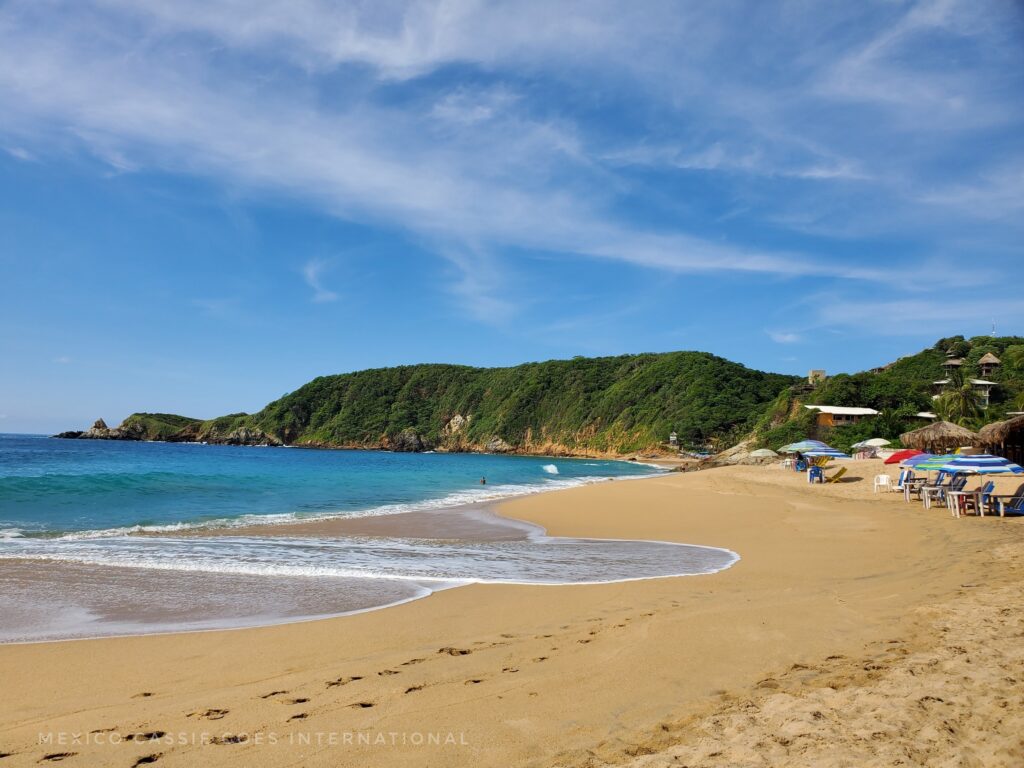 calm beach with very blue water, tracks on sand and green cliffs
