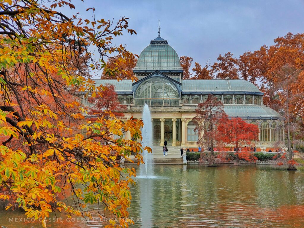 view of the Crystal Palace in El Retiro park - autumnal trees in front of photo, pond with fountain in front of building