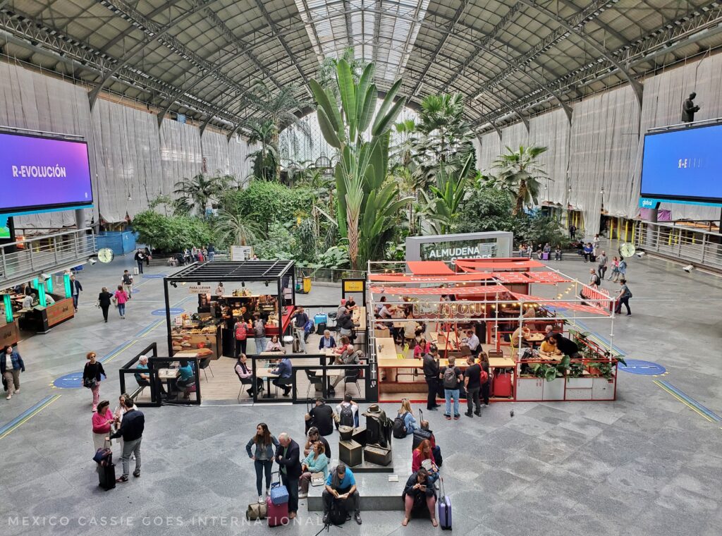 view of the garden atrium at Atocha station - people milling around, restaurant space and then lots of trees