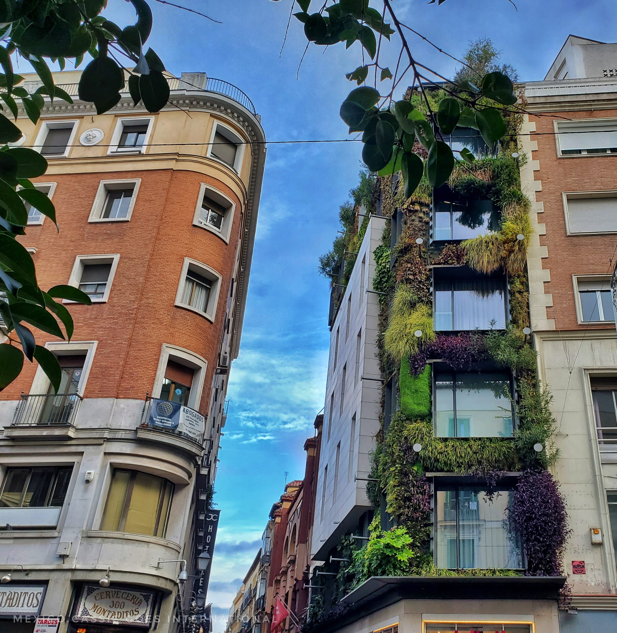 two buildings, one on right has a living wall