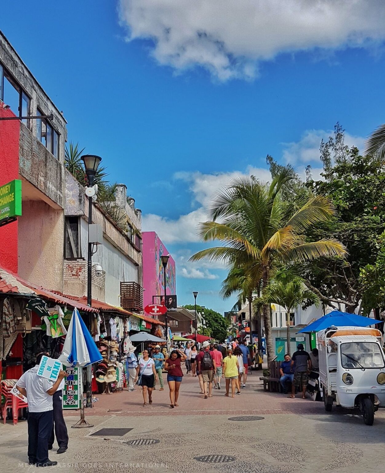 Your Expert Guide To Family Fun In Playa Del Carmen 2024   Wp 17048997873581935232227901527066 1252x1536 