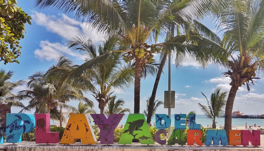 giant letters: Playa del Carmen, palms and ocean behind