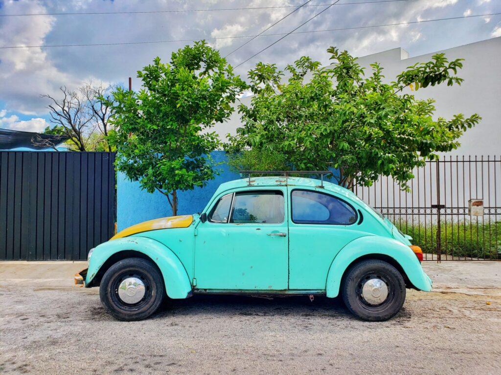turquoise VW in front of trees and blue wall