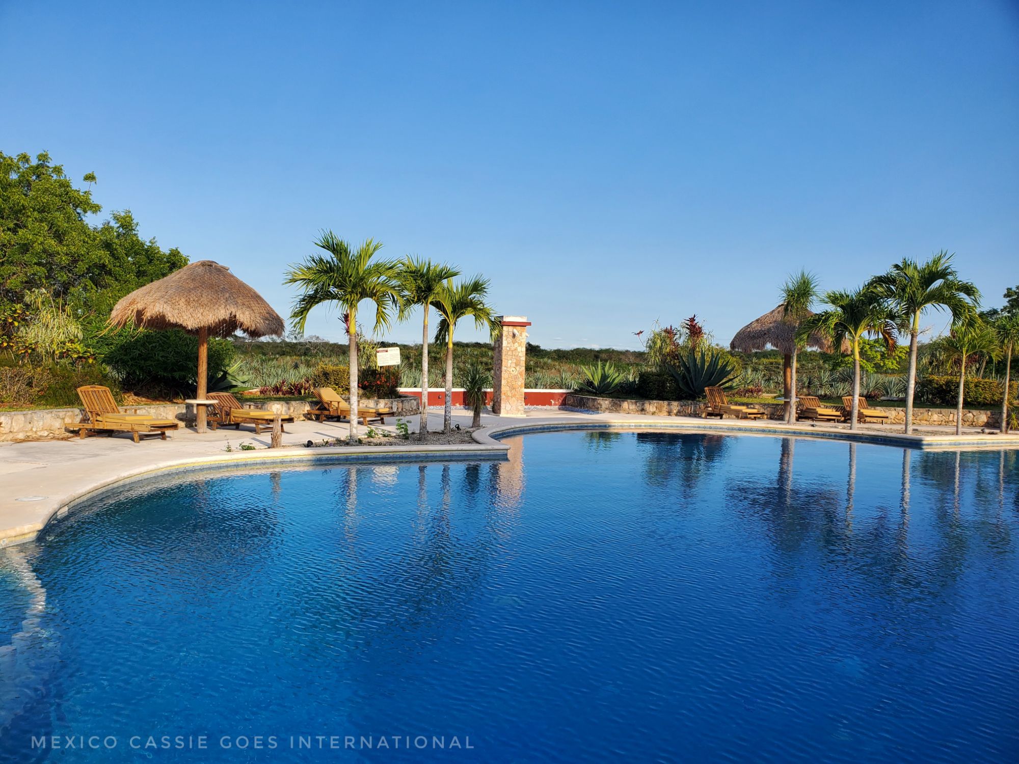 Your expert guide to sustainable tourism in Mérida
